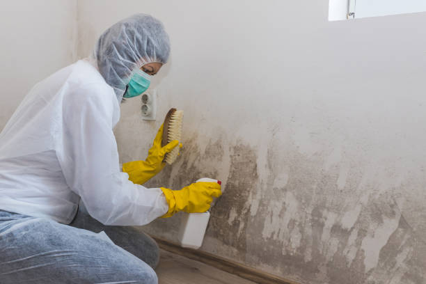 Best Water Damage Restoration  in Newport, RI