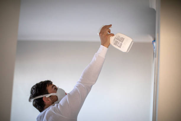 Best Same-Day Mold Removal  in Newport, RI