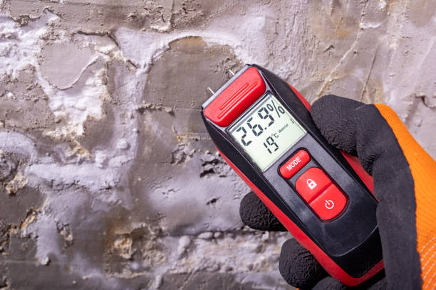 Best Office Mold Removal Services  in Newport, RI