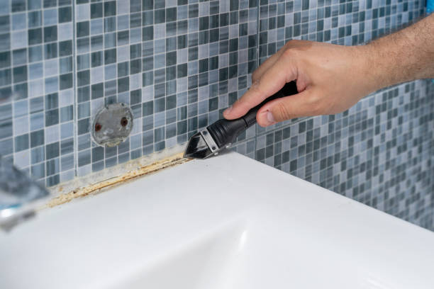 Best Local Mold Removal Service  in Newport, RI