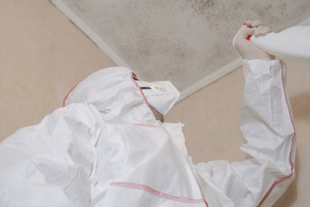 Best Professional Mold Removal  in Newport, RI