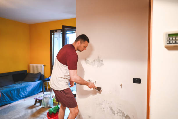 Best Mold Cleaning Services  in Newport, RI